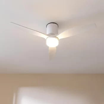 Ventilatore da soffitto