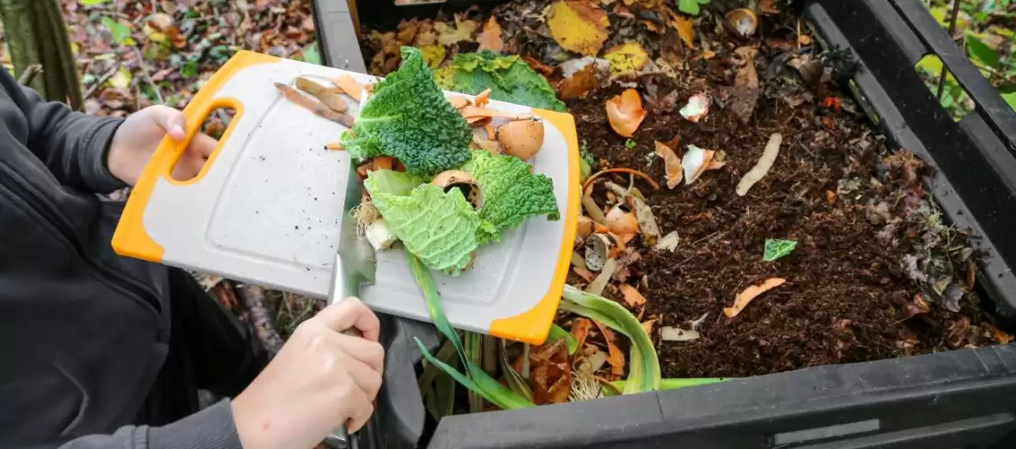 Cosa mettere nel compost