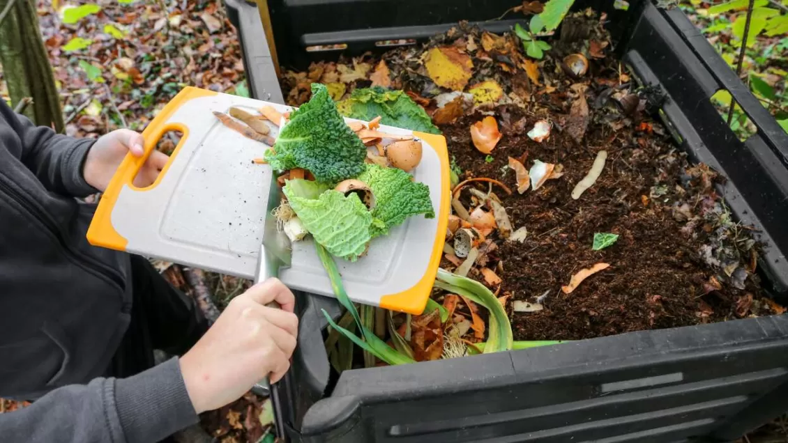 Cosa mettere nel compost