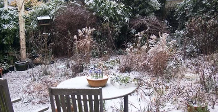 Quando è inverno e non si vuole rinunciare al giardino 