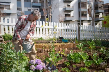 Creare un orto in giardino o in balcone