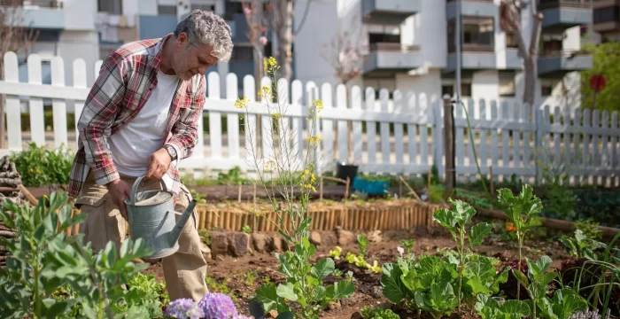 Creare un orto in giardino o in balcone