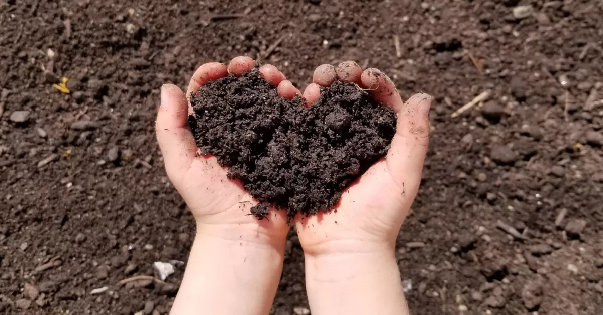 Preparare il Compost: Consigli e Trucchi per un Compostaggio di Successo