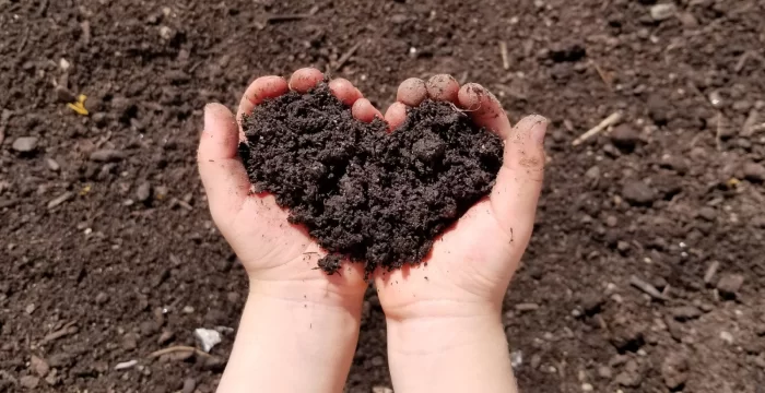 Preparare il Compost: Consigli e Trucchi per un Compostaggio di Successo