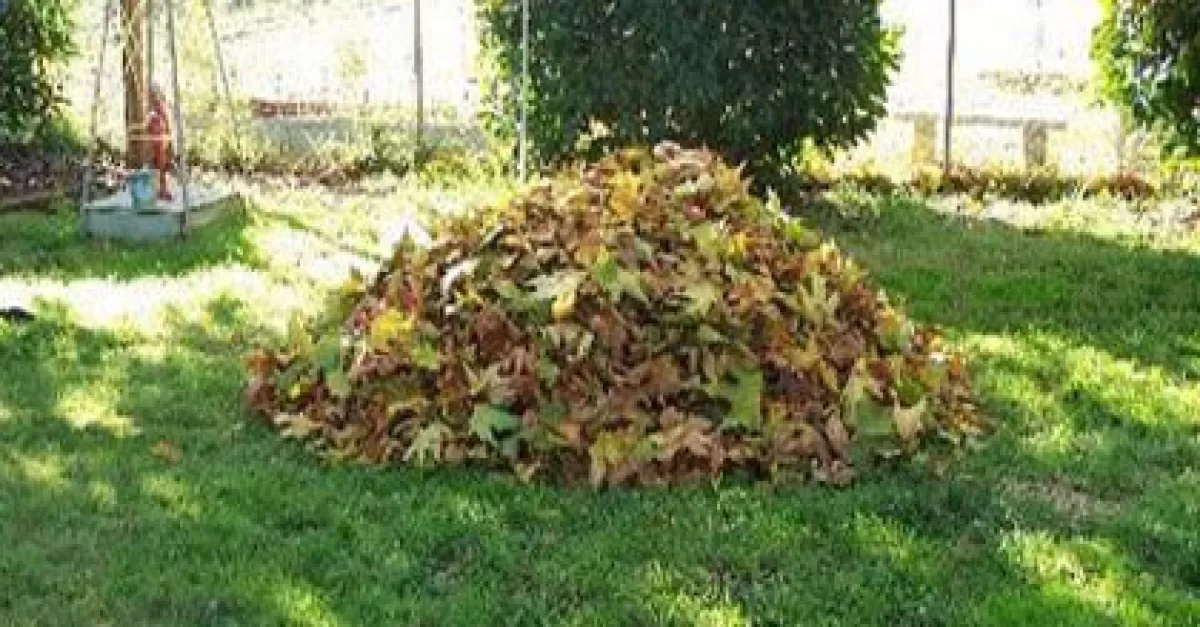 Triturare gli scarti del giardino