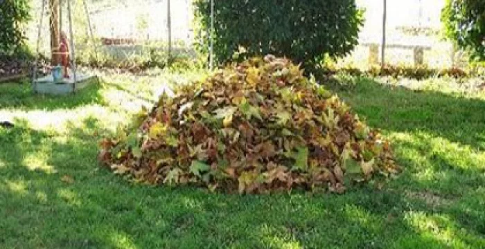 Triturare gli scarti del giardino